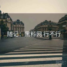 随记：黑料网 行不行