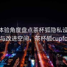 站在体验角度盘点茶杯狐隐私设置 指南与改进空间，茶杯狐cupfoxa