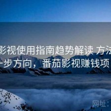 番茄影视使用指南趋势解读 方法与下一步方向，番茄影视赚钱项目