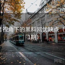 使用者视角下的黑料网优缺点（第4471期）