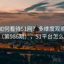 用户如何看待51网？多维度观察报告（第986期），51平台怎么样