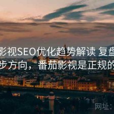 番茄影视SEO优化趋势解读 复盘与下一步方向，番茄影视是正规的吗