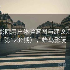 蜂鸟影院用户体验蓝图与建议汇总（第1236期），蜂鸟影阮