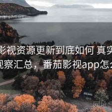 番茄影视资源更新到底如何 真实反馈与观察汇总，番茄影视app怎么样