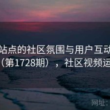 视频站点的社区氛围与用户互动研究（第1728期），社区视频运营