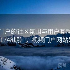 视频门户的社区氛围与用户互动研究（第1748期），视频门户网站是什么
