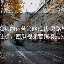 西瓜视频的运营策略现状 思路与用户关注点，西瓜视频营销模式分析