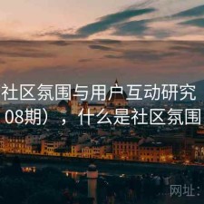 17c的社区氛围与用户互动研究（第2908期），什么是社区氛围