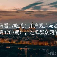 从口碑看17吃瓜：用户观点与趋势解读（第4203期），吃瓜群众网络新词