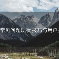 17c的常见问题现状 技巧与用户关注点