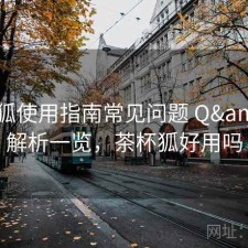 茶杯狐使用指南常见问题 Q&A：解析一览，茶杯狐好用吗