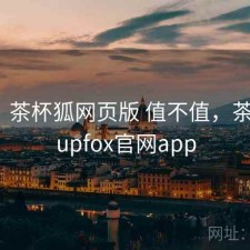 随记：茶杯狐网页版 值不值，茶杯狐cupfox官网app