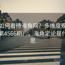 用户如何看待海角网？多维度观察报告（第4566期），海角定论是什么意思