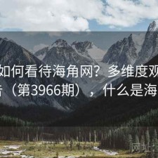 用户如何看待海角网？多维度观察报告（第3966期），什么是海角