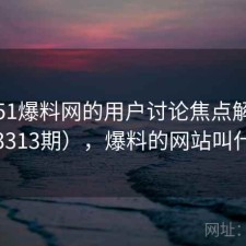 关于51爆料网的用户讨论焦点解析（第3313期），爆料的网站叫什么