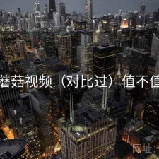 蘑菇视频（对比过）值不值