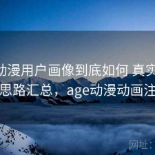 age动漫用户画像到底如何 真实反馈与思路汇总，age动漫动画注册