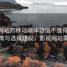 影视网站的移动端体验值不值得关注 对策与选择建议，影视网站需求