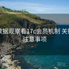 基于数据观察看17c会员机制 关键点与注意事项