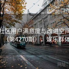 娱乐社区用户满意度与改进空间探讨（第4270期），娱乐群体