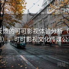 基于反馈的可可影视体验分析（第947期），可可影视文化传媒公司