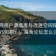 海角网用户满意度与改进空间探讨（第4590期），海角论坛怎么注册