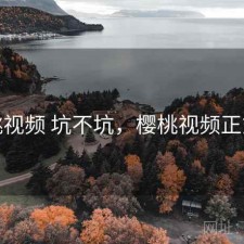 樱桃视频 坑不坑，樱桃视频正式版