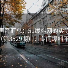 用户声音汇总：51爆料网的实际表现（第3529期），专门爆料平台