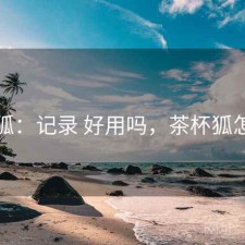 茶杯狐：记录 好用吗，茶杯狐怎么看