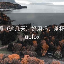 茶杯狐（这几天）好用吗，茶杯狐 - cupfox