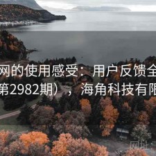 海角网的使用感受：用户反馈全景分析（第2982期），海角科技有限公司