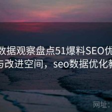 基于数据观察盘点51爆料SEO优化 要点与改进空间，seo数据优化教程