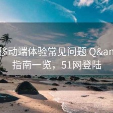 51网移动端体验常见问题 Q&A：指南一览，51网登陆