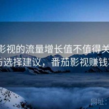 番茄影视的流量增长值不值得关注 攻略与选择建议，番茄影视赚钱项目