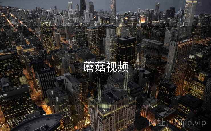 蘑菇视频 第2张