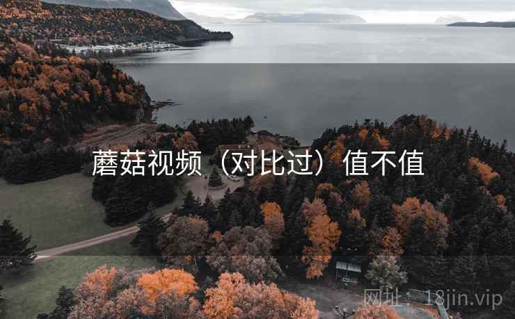 蘑菇视频(对比过)值不值 第2张 蘑菇视频(对比过)值不值 第2张