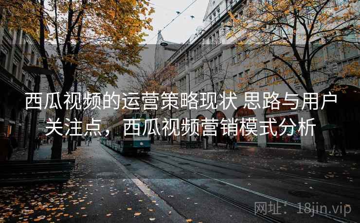 西瓜视频的运营策略现状 思路与用户关注点，西瓜视频营销模式分析  第1张