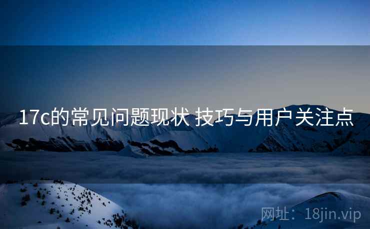 17c的常见问题现状 技巧与用户关注点 第2张 17c的常见问题现状 技巧与用户关注点 第2张